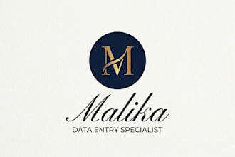 do professional data entry and excel spreadsheet work