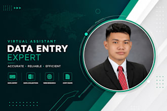 do data entry, web research, data collection and copy paste