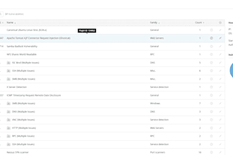 perform vulnerability assessment and provide security report