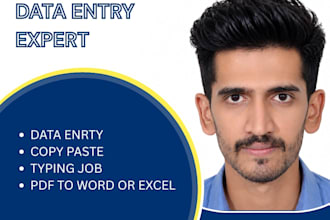 be your professional data entry operator