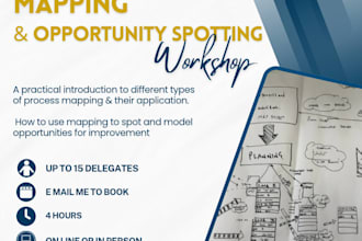 run an on line process mapping workshop