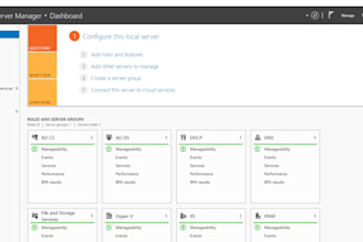 configure windows server, active directory, dns and dhcp