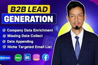do niche targeted email list, data enrichment, data appending, and data entry