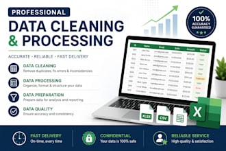 data entry cleaning and processing