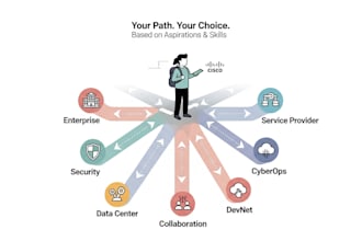 expert network engineering cisco certified