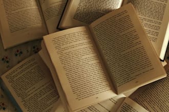 fazer uma leitura beta crítica e direta do seu livro
