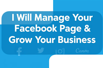 professional facebook and instagram page management