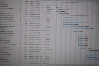 do professional ms project scheduling and gantt charts