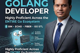 be your expert golang developer