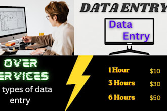 fast data entry work