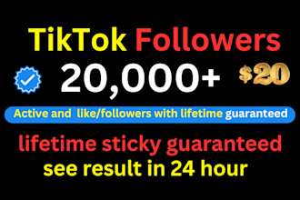 get 1000 tik tok followers high quality service