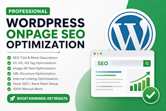 do professional wordpress onpage SEO optimization