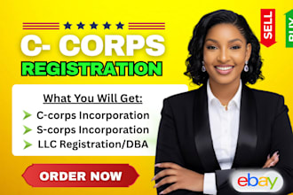 incorporate c corps or s corp in delaware, wyoming, file dba for llc company