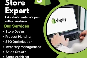 create a professional shopify store