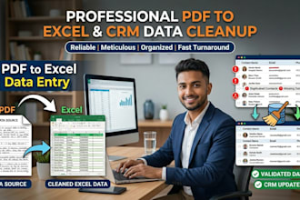 do expert PDF to excel data entry and clean up CRM data