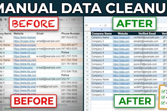 provide manual data entry and spreadsheet cleanup