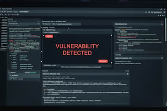 perform security audit and vulnerability assessment