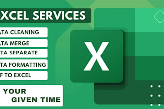 clean, organize, and format excel data