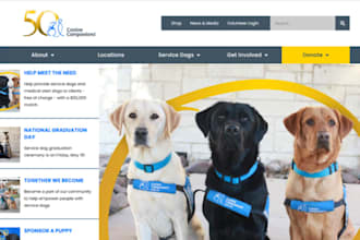 design wix pet training website puppy kindergarten hunting dog training website