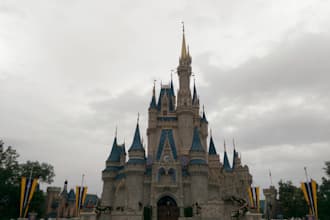 buy your disney pins or merchandise from the parks