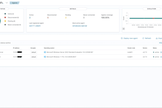 provide a cybersecurity vulnerability assessment and report
