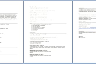 write a professional ats friendly resume and CV