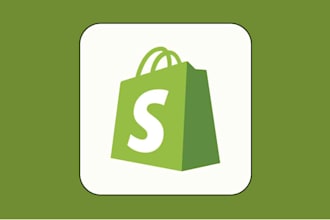 build your shopify website