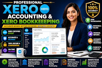 do xero accounting and xero bookkeeping accurately and perfectly
