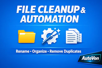 organize, rename, and clean up your files automatically