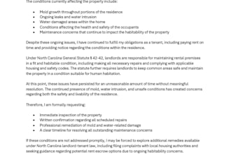 write professional business emails, letters, and documents