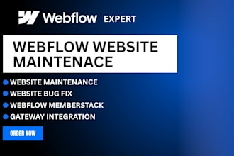 webflow maintenanc, website bug fix, webflow member stack, gate way integration