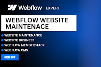 webflow maintenance, webflow business, webflow memberstack, webflow cms