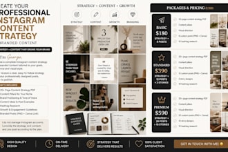 create your professional instagram content strategy and content