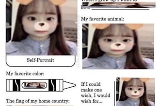 translate anything from english to polish or polish to english