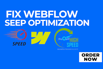 fix webflow speed optimization, improve google pagespeed insights score