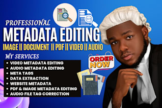 perform expert metadata editing, data extraction for image, video and audio