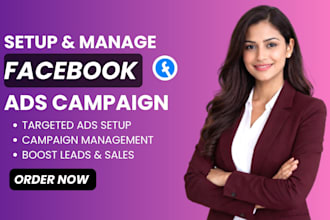 setup facebook ads campaign for leads and sales