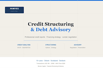 deliver a professional credit structuring and debt advisory report