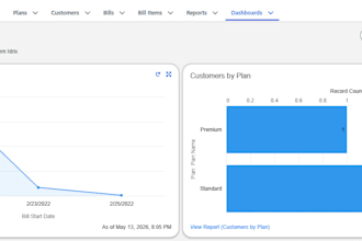 create salesforce reports and dashboards for your business
