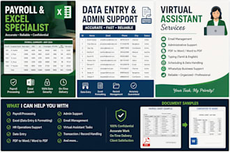 do professionally data entry, excel work, payroll processing