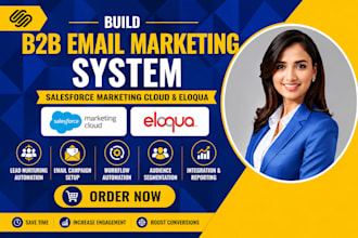 build b2b email marketing system in salesforce and eloqua