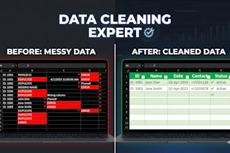 clean, analyze and visualize your excel data professionally