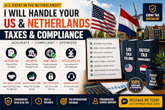 file US expat tax, fbar, feie and netherlands zzp tax support
