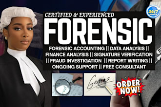 conduct forensic accounting, fraud investigation, litigation support with report