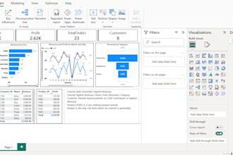 clean and organize excel or CSV data professionally