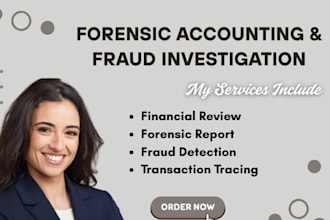 be your forensic expert, financial audit expert, fraud investigation expert