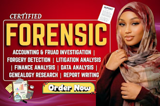 do forensic accounting, litigation support, fraud investigation, report writing
