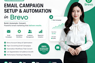 professional email campaign setup and automation in brevo