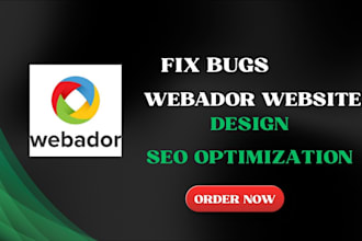 fix bugs and build your webador website with SEO optimization