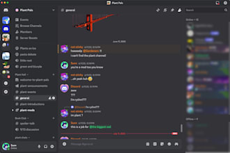 setup and organize your discord server